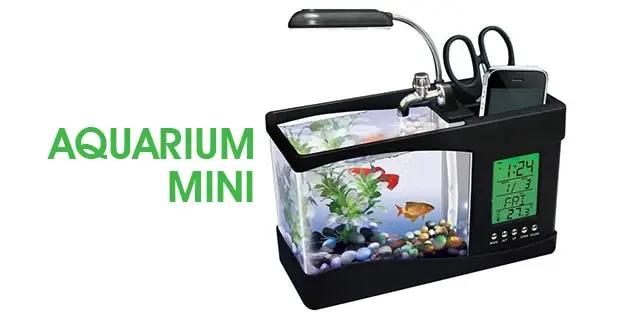 Aquarium Mini Unik Dengan Jam Kerja